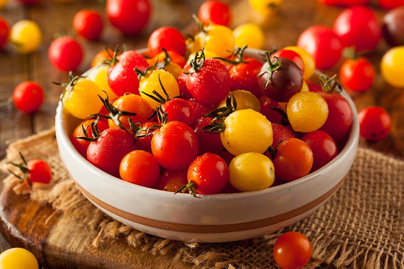 Jak pěstovat cherry rajčata
