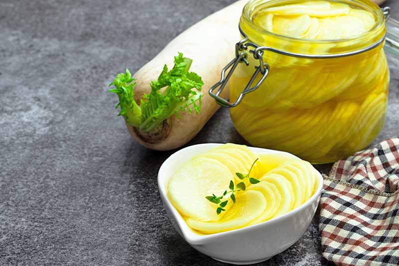 Jak zasadit a pěstovat daikon: Přidejte do své zahrady trochu zeleně