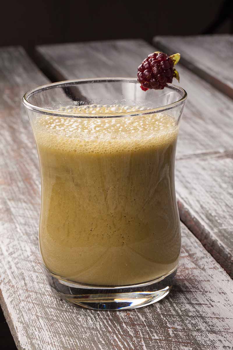 Výhody Boysenberry: Proč potřebujete tento ostružinový hybrid ve svém životě?