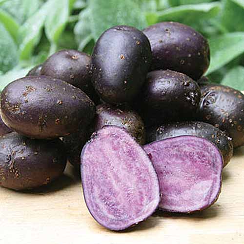 Fialové produkty: Měli byste jíst více fialového ovoce a zeleniny?