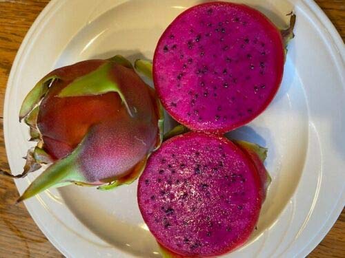11 nejlepších odrůd dračího ovoce (Pitaya)