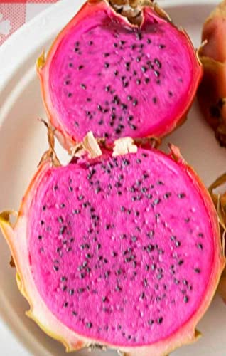 11 nejlepších odrůd dračího ovoce (Pitaya)