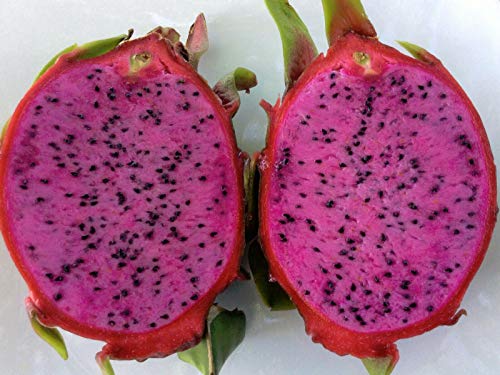 11 nejlepších odrůd dračího ovoce (Pitaya)