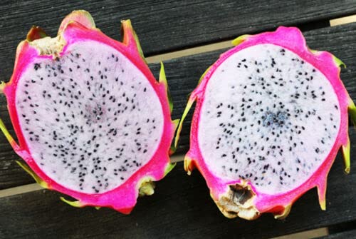 11 nejlepších odrůd dračího ovoce (Pitaya)
