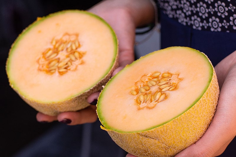 Kdy a jak sklízet Cantaloupe, nejsladší zahradní cukroví
