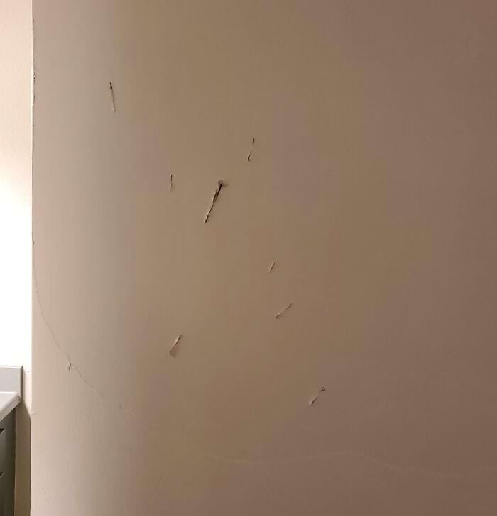 18 mrazivých nálezů v domech, kvůli kterým majitelé litovali, že se do nich nastěhovali